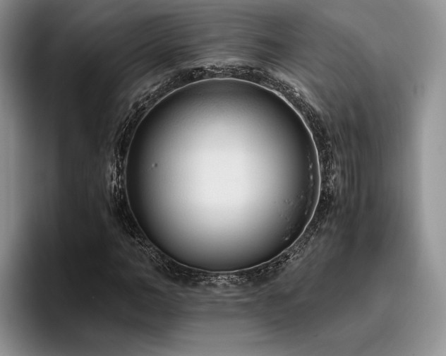 X0000096140966200801181129