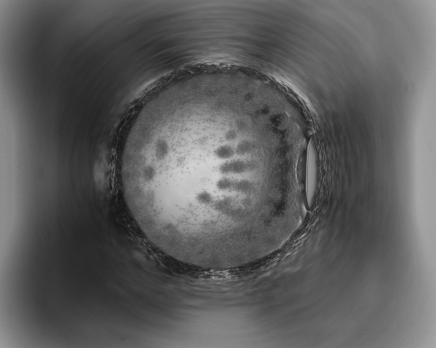 X0000096140968200801181129