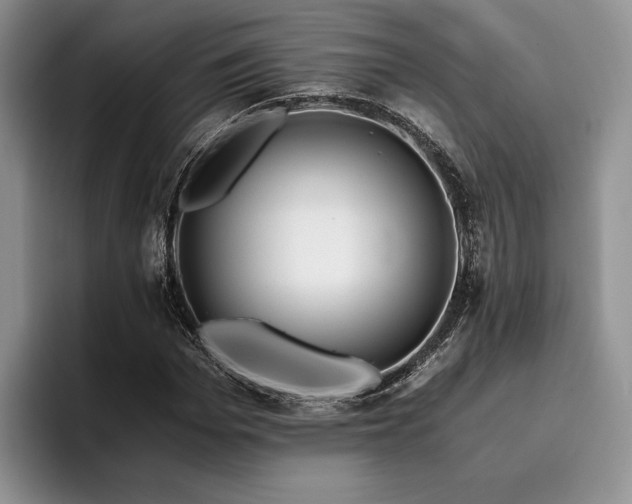 X0000096140969200801181129