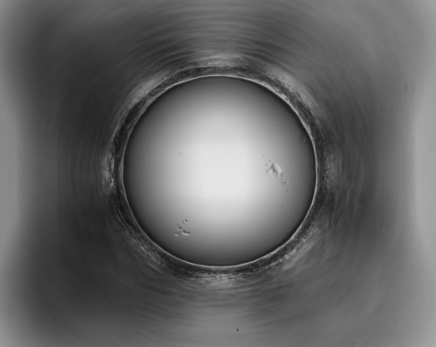 X0000096140970200801181129