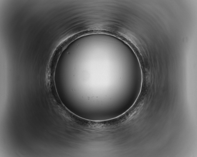 X0000096140971200801181129