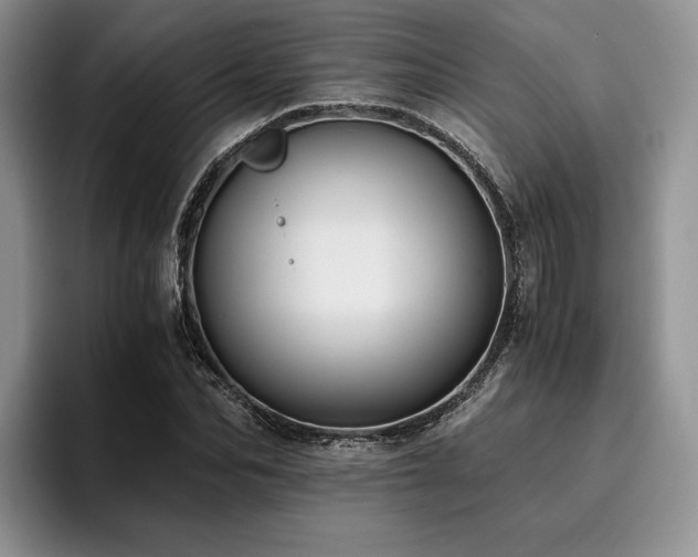 X0000096140974200801181129