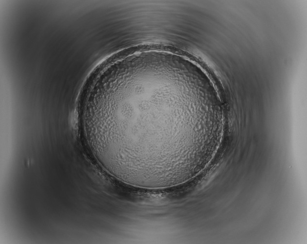 X0000096140975200801181129