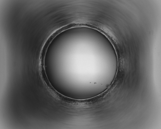 X0000096140976200801181129