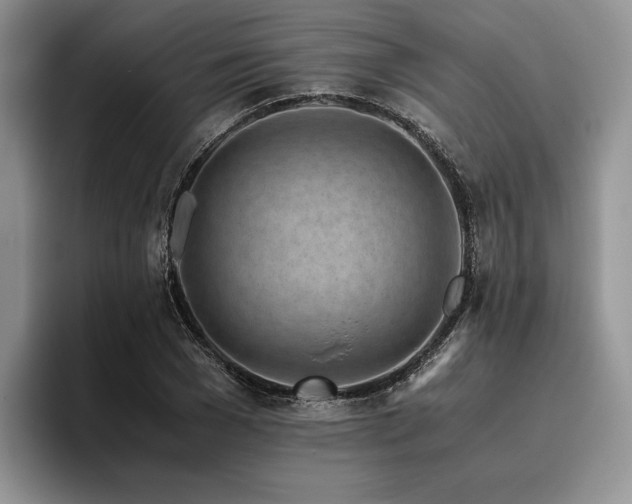 X0000096140977200801181129