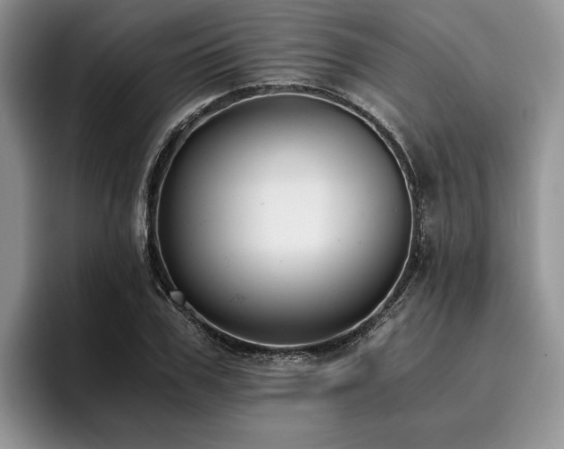 X0000096140979200801181129