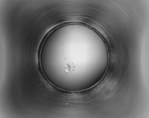 X0000096140980200801181129