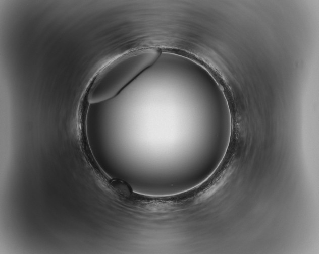 X0000096140981200801181129