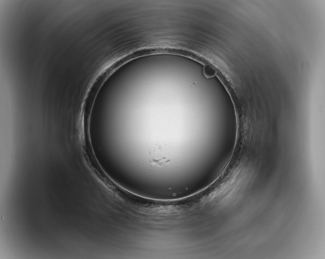 X0000096140982200801181129