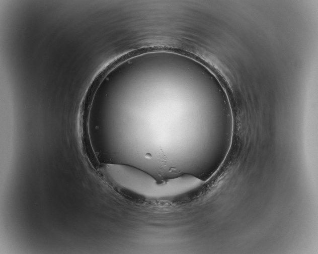 X0000096140983200801181129