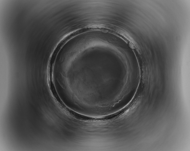 X0000096140984200801181129
