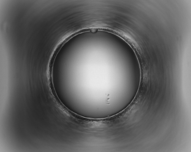 X0000096140990200801181129