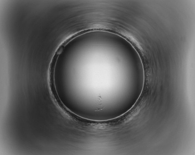 X0000096140991200801181129