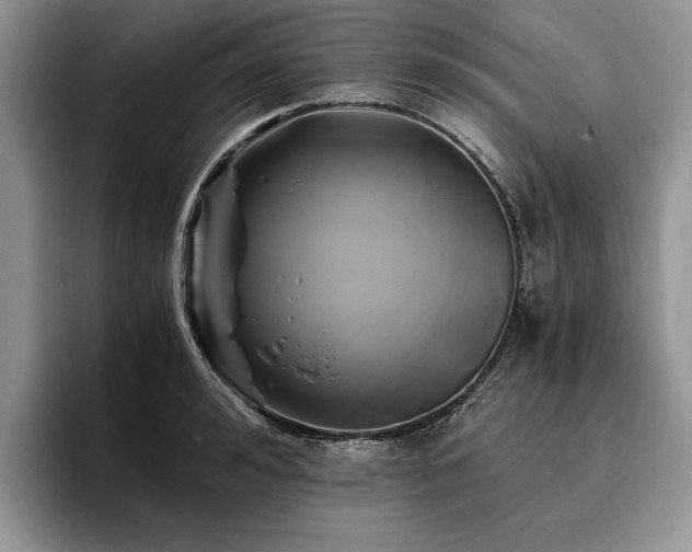 X0000096140992200801181129