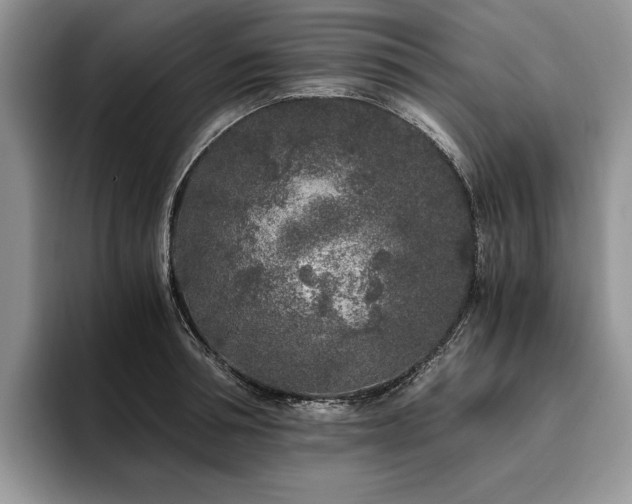X0000096140994200801181129