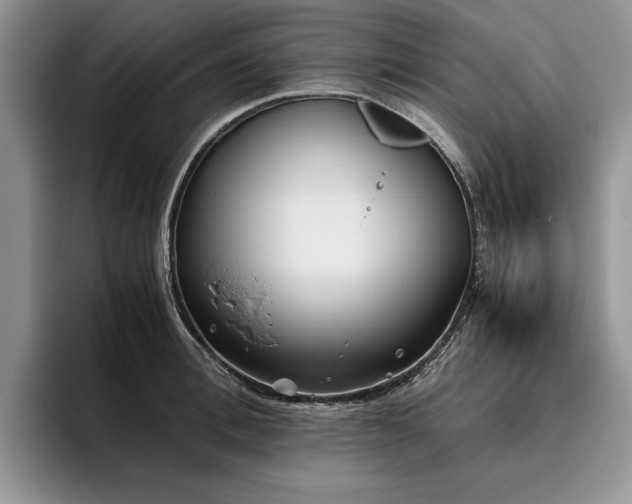X0000096140996200801181129