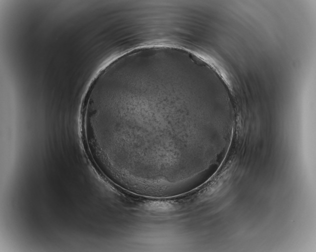 X0000096140998200801181129