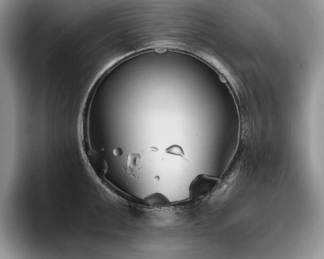 X0000096140999200801181129