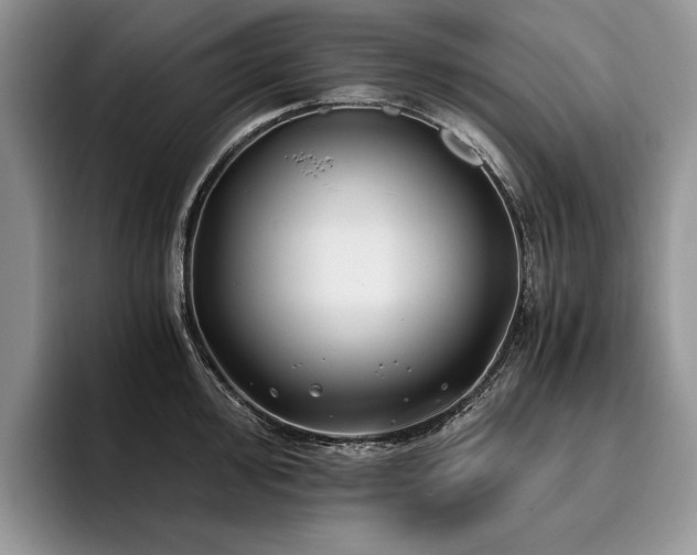 X0000096141000200801181129