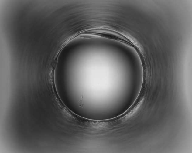X0000096141001200801181129