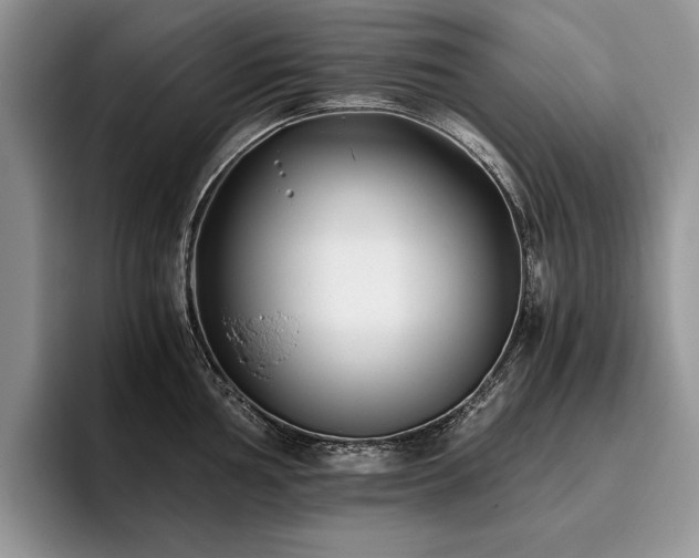 X0000096141002200801181129