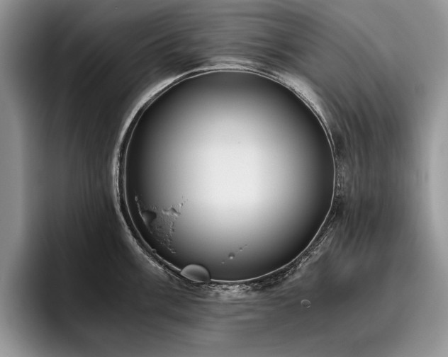 X0000096141003200801181129