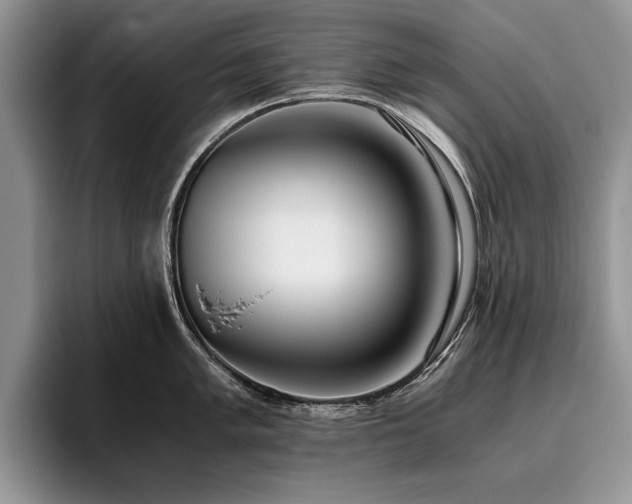 X0000096141005200801181129