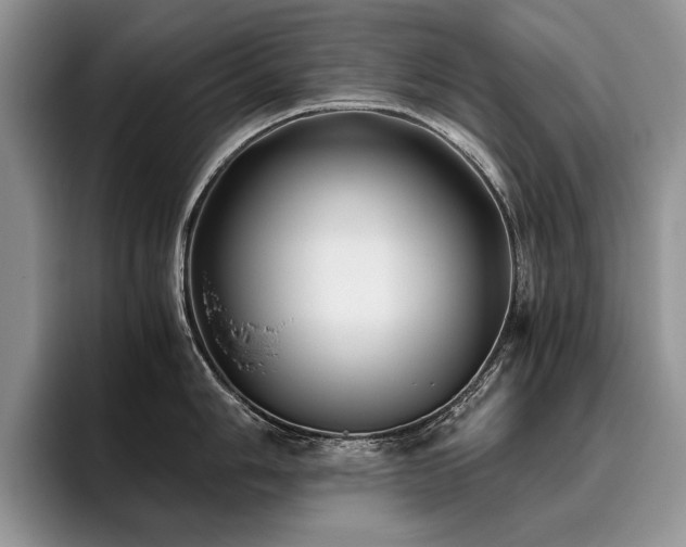 X0000096141006200801181129