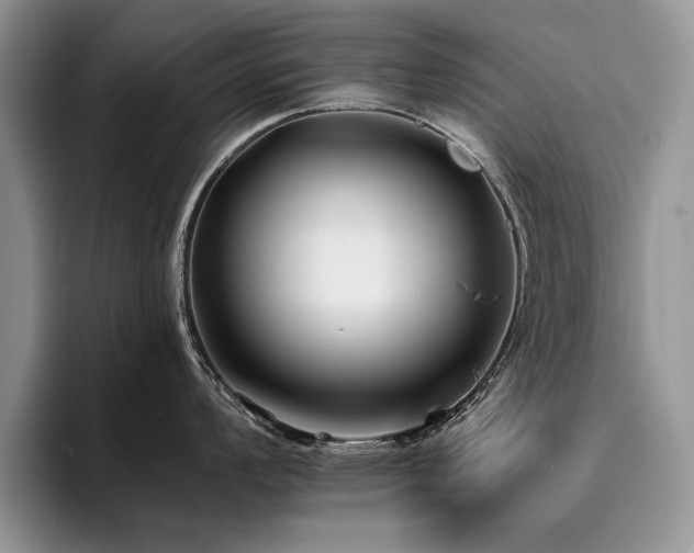 X0000096141008200801181129
