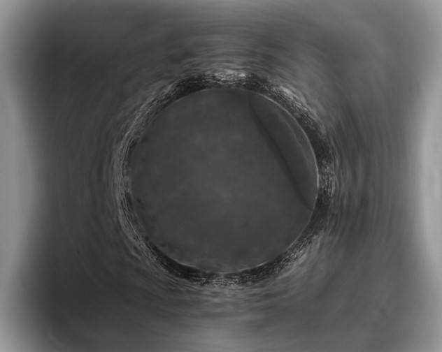 X0000096141009200801181128