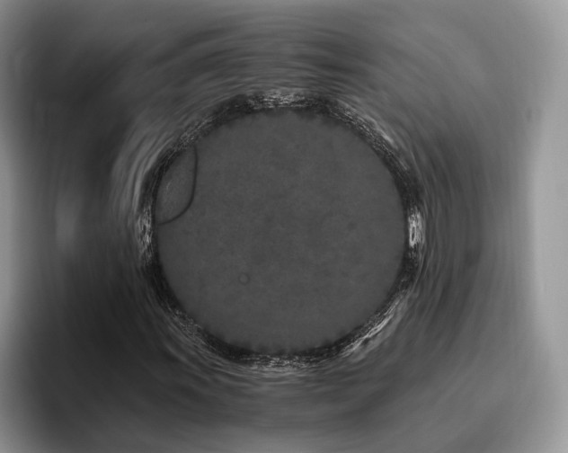 X0000096141011200801181128