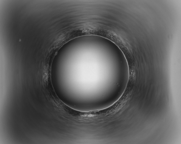 X0000096141012200801181128