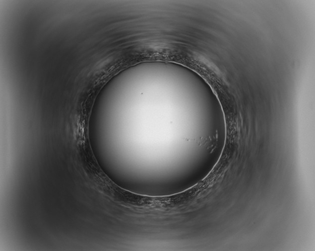 X0000096141013200801181128
