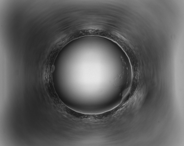 X0000096141014200801181128