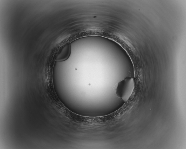 X0000096141015200801181128
