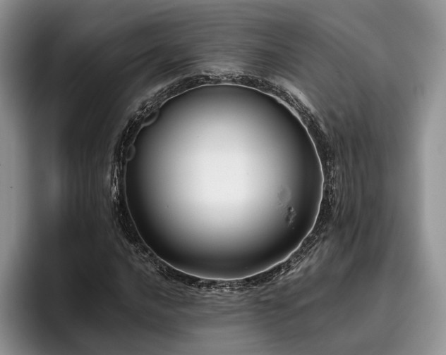 X0000096141016200801181128