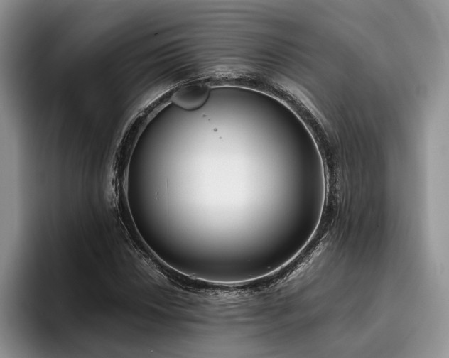 X0000096141018200801181128
