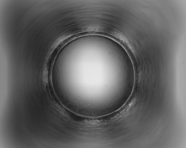 X0000096141019200801181128