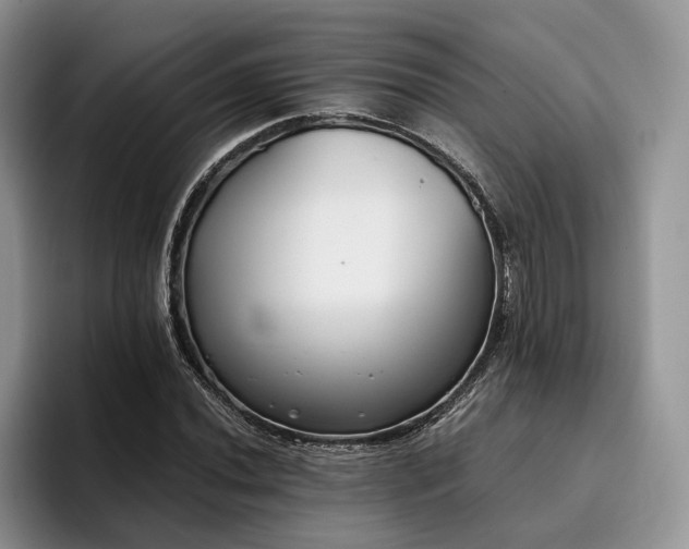 X0000096141020200801181128