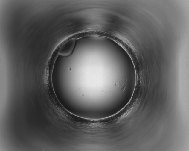 X0000096141021200801181128