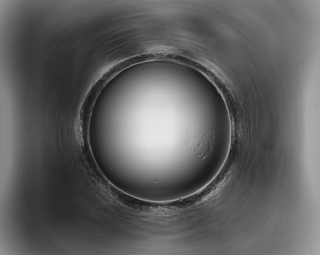 X0000096141022200801181128