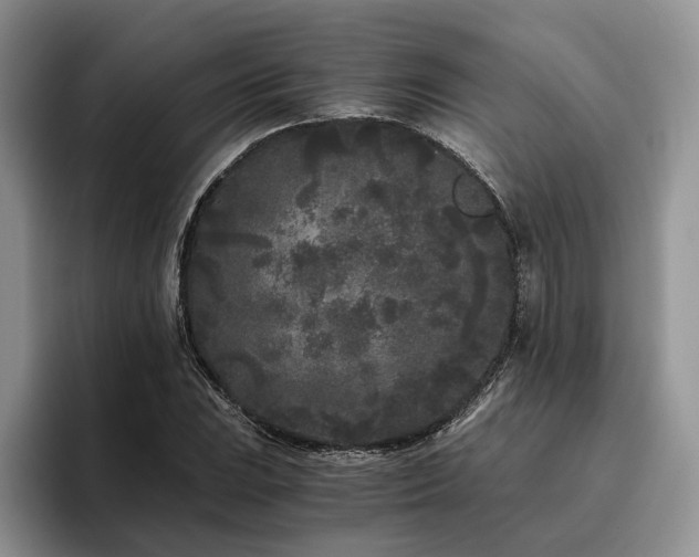 X0000096141023200801181128