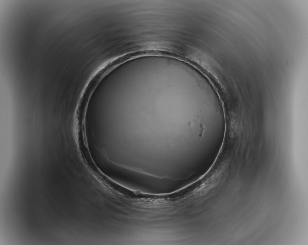 X0000096141024200801181128