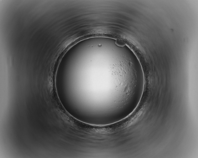 X0000096141025200801181128