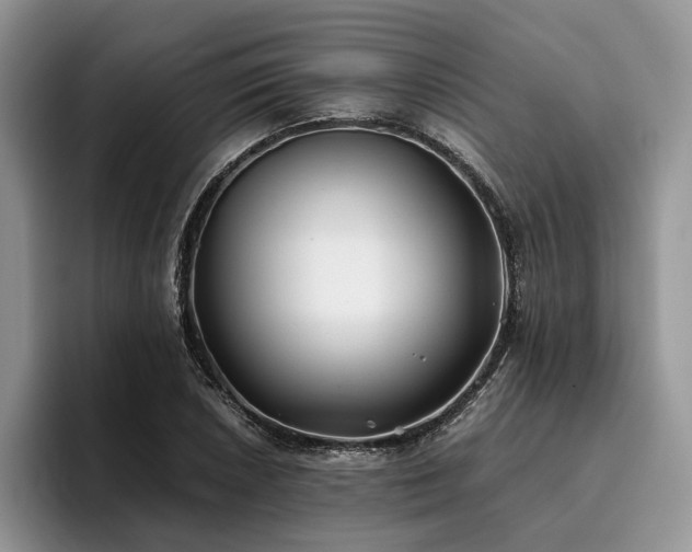 X0000096141026200801181128