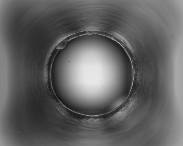 X0000096141027200801181128