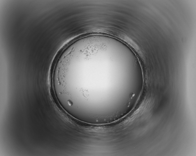 X0000096141028200801181128