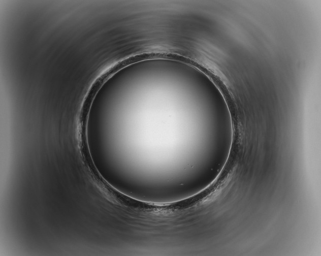 X0000096141029200801181128