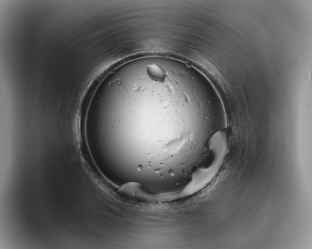 X0000096141030200801181128