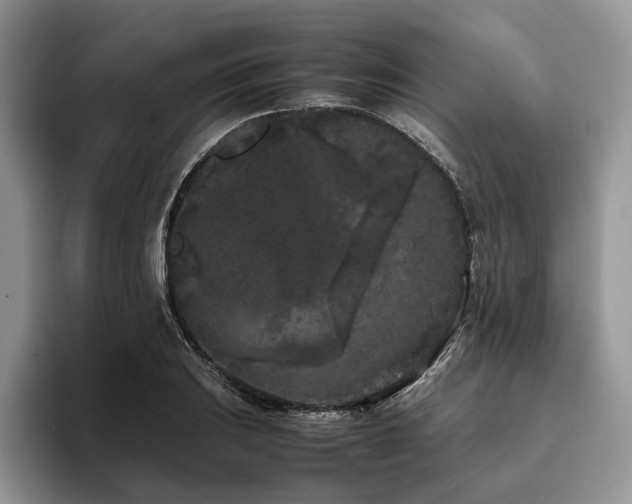X0000096141031200801181128